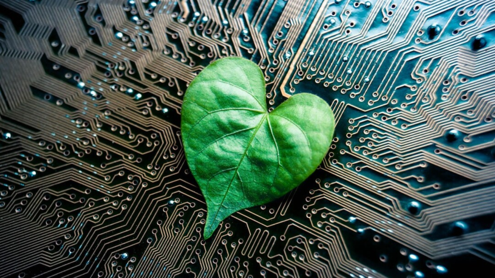 Sustainable Technology Practices: Green Initiatives in the Tech Industry